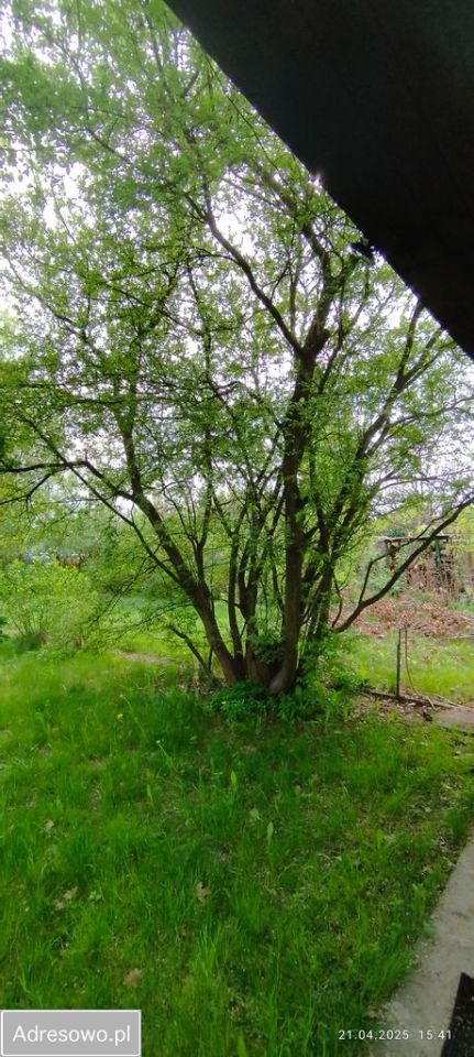 Działka rod Balice, ul. Sportowa. Zdjęcie 8