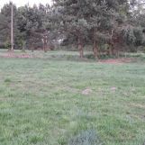 Działka rolno-budowlana Ulasek. Zdjęcie 2