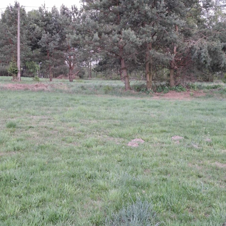 Działka rolno-budowlana Ulasek. Zdjęcie 3