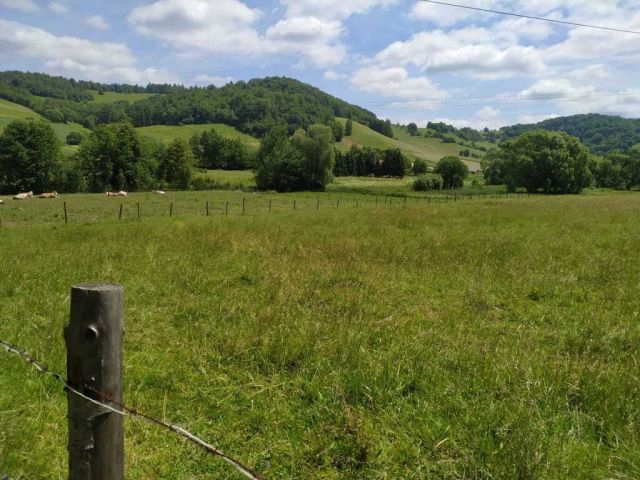 Działka budowlana Terka. Zdjęcie 1