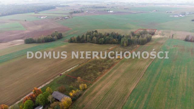 Działka budowlana Jasień. Zdjęcie 3