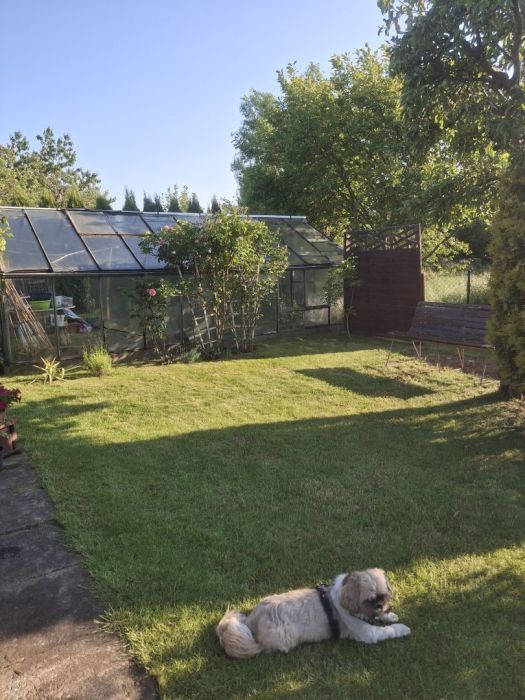 Działka rod Gdynia Oksywie, ul. Stanisława Żółkiewskiego. Zdjęcie 4