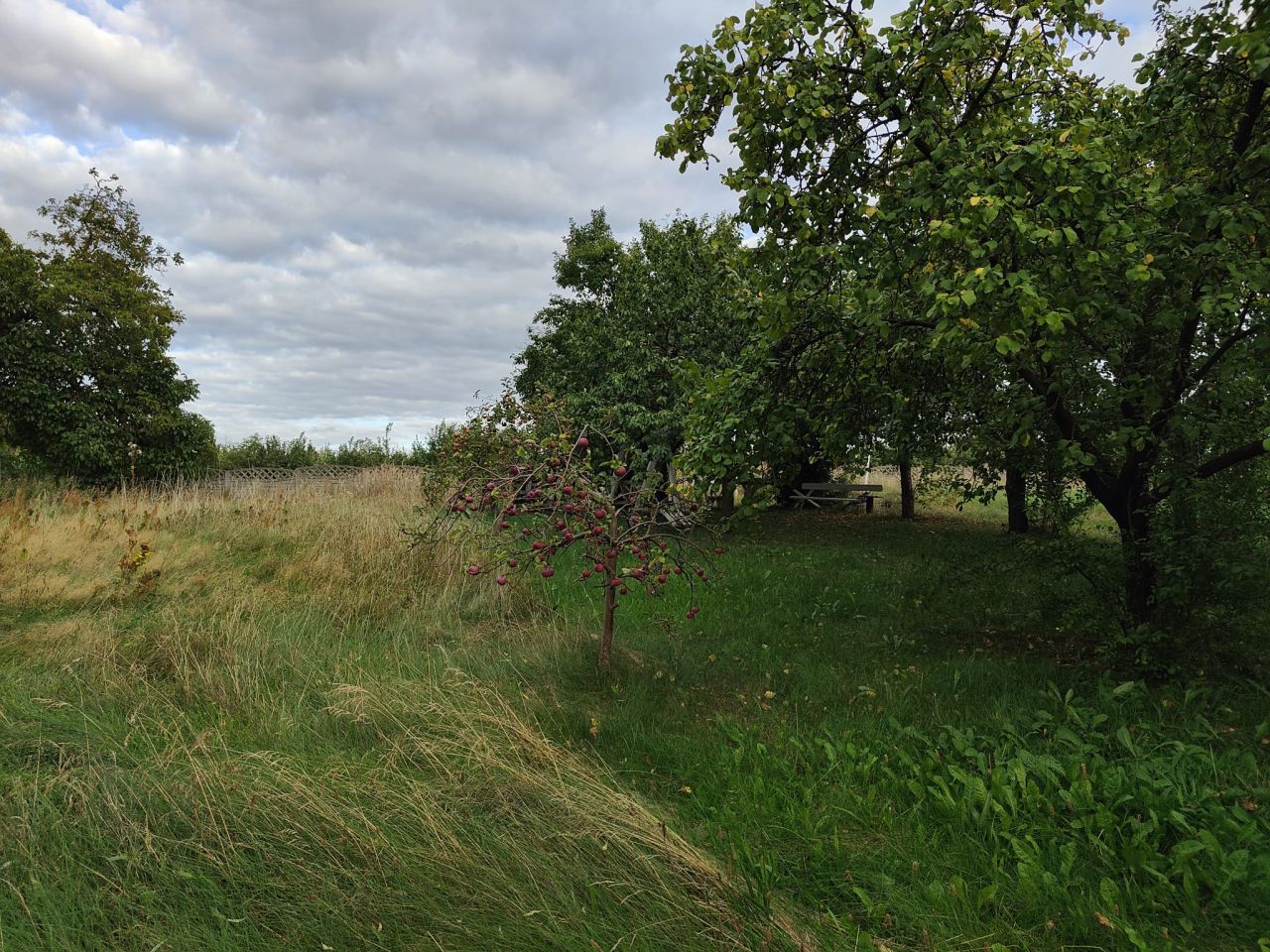 Działka rolno-budowlana Chmielinko. Zdjęcie 4