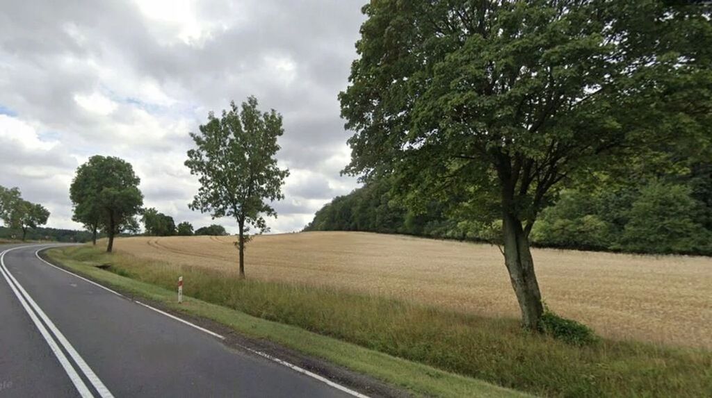 Działka inwestycyjna Sady Dolne. Zdjęcie 6