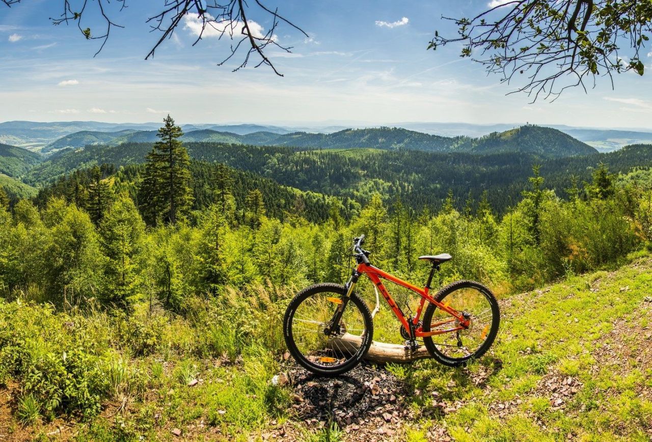Mieszkanie 3-pokojowe Świdnica, ul. Emilii Plater. Zdjęcie 42