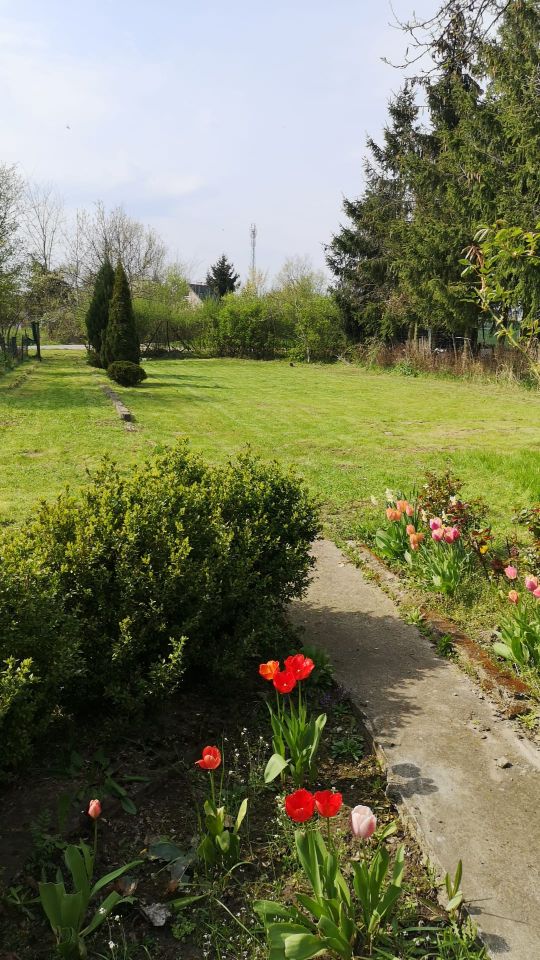 Działka rekreacyjna Gorzów Wielkopolski Zamoście, ul. Marcina Kasprzaka