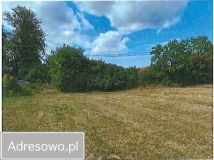 Działka rolno-budowlana Gałkowo. Zdjęcie 4