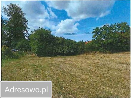 Działka rolno-budowlana Gałkowo. Zdjęcie 5