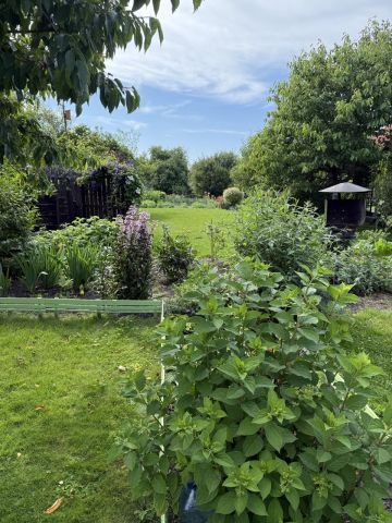 Działka rod Lębork, ul. Gliniana. Zdjęcie 1