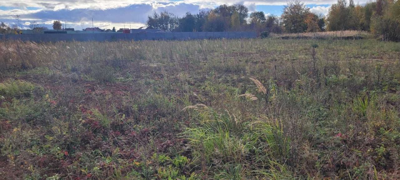 Działka inwestycyjna Wolin. Zdjęcie 5