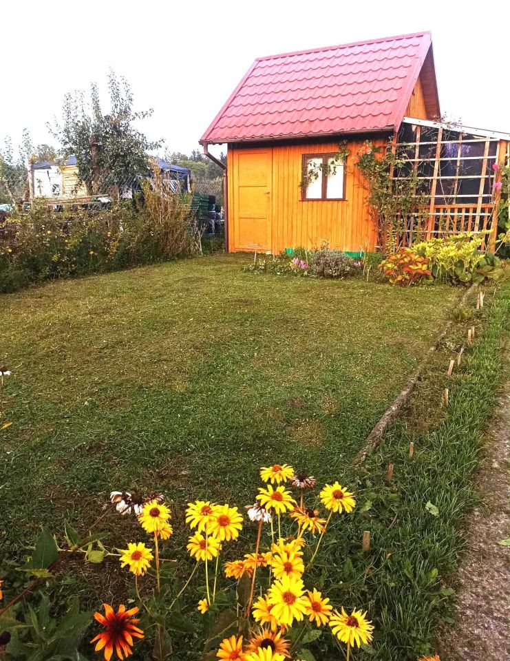 Działka rod Morąg. Zdjęcie 4