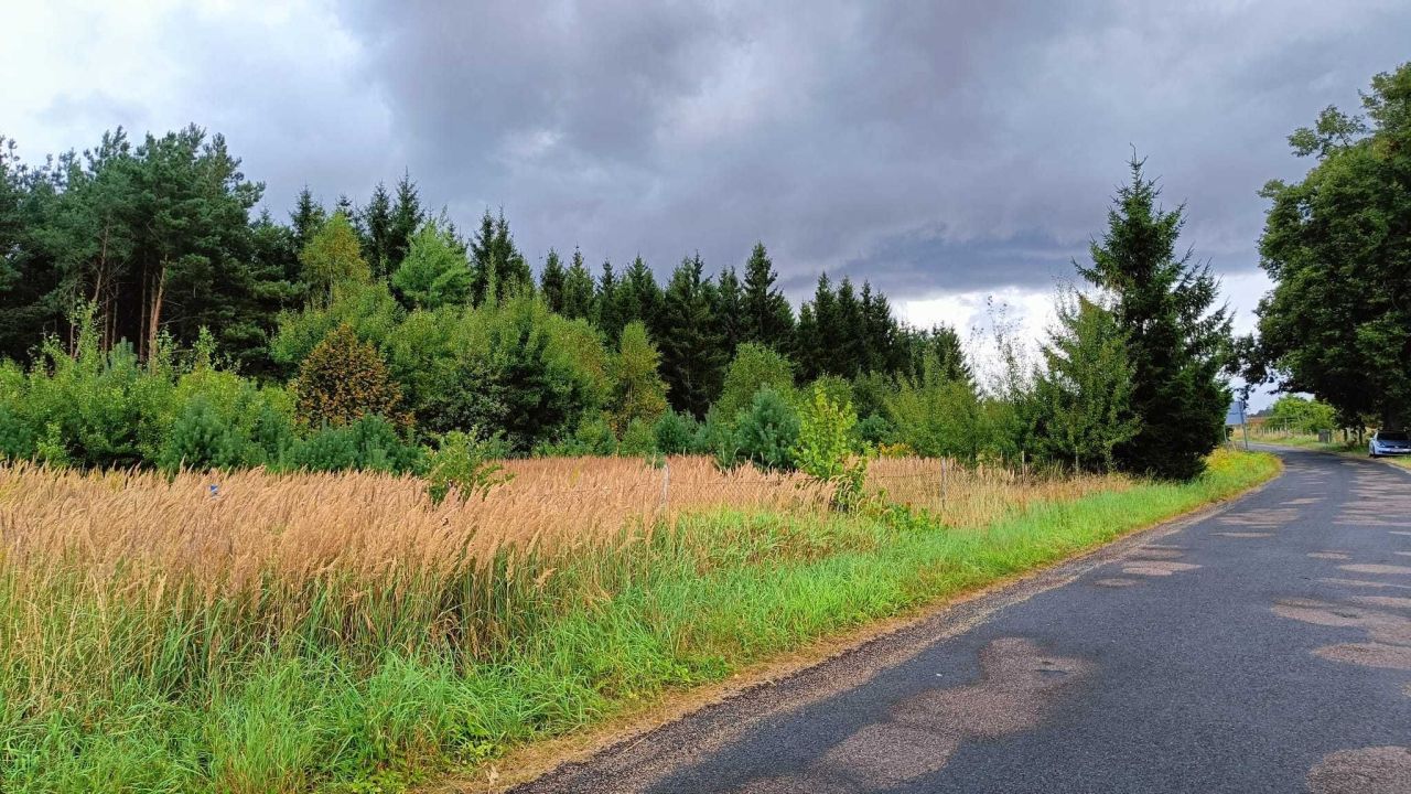 Działka budowlana Otrzep. Zdjęcie 3