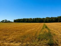 Działka rolna Świdniki. Zdjęcie 2