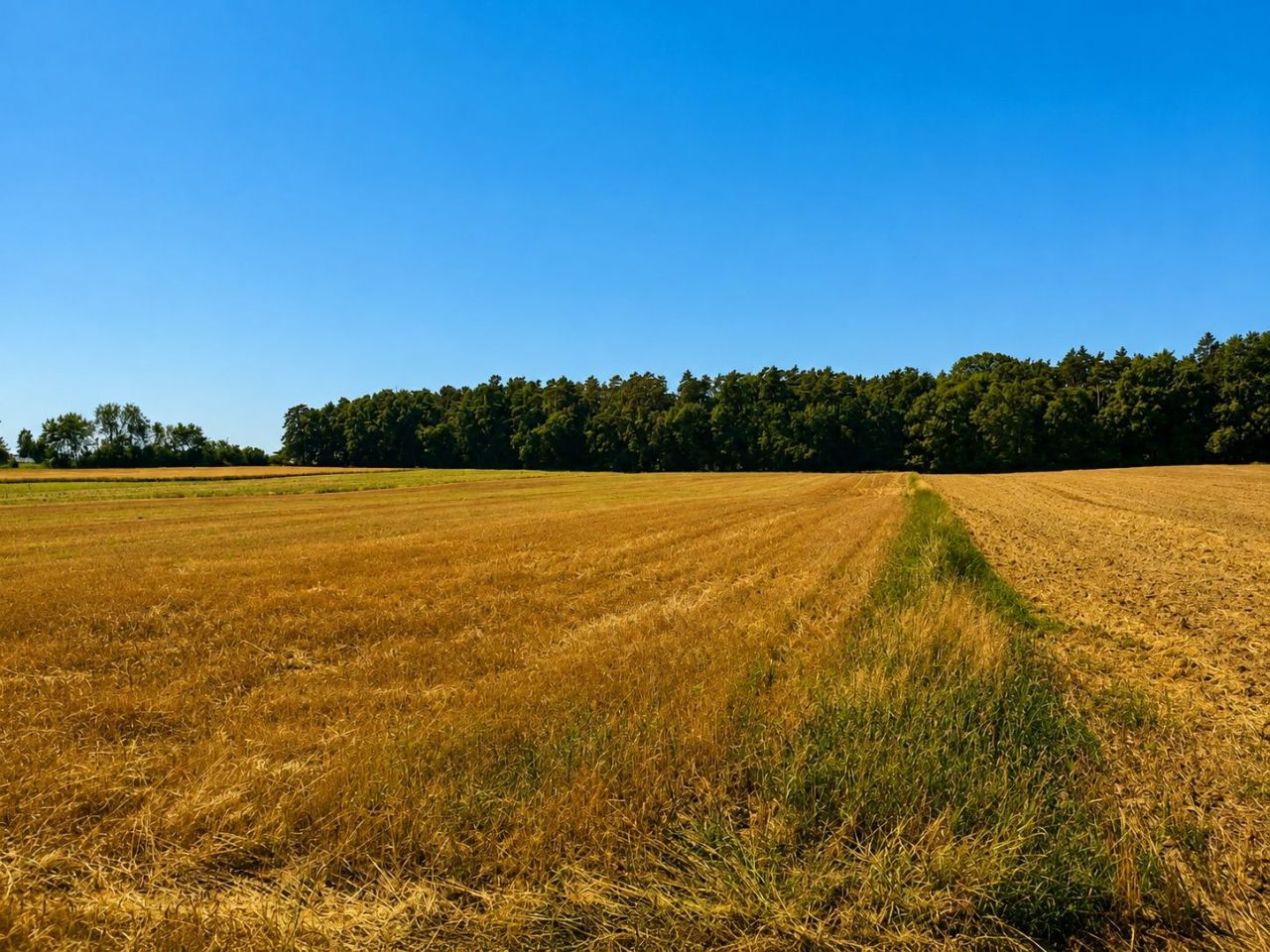 Działka rolna Świdniki. Zdjęcie 3
