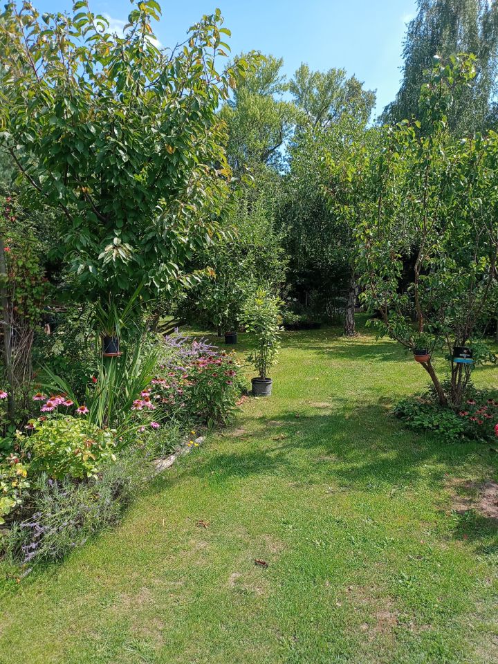 Działka rekreacyjna Wrocław Bierdzany, ul. Nizinna. Zdjęcie 31