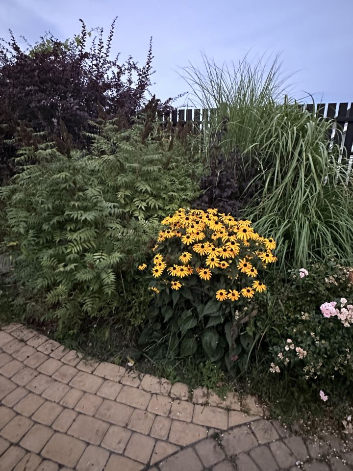 dom wolnostojący, 4 pokoje Huta Żabiowolska, Główna. Zdjęcie 26