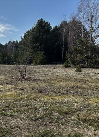 Działka rolna Mysiakowiec. Zdjęcie 1