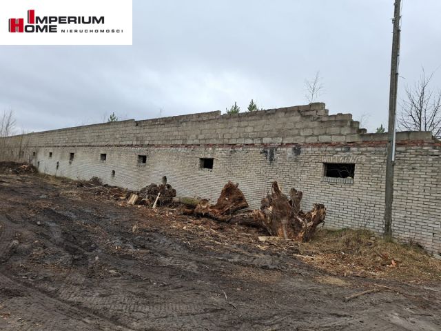 Działka inwestycyjna Chmielno, ul. Jesionowa. Zdjęcie 8