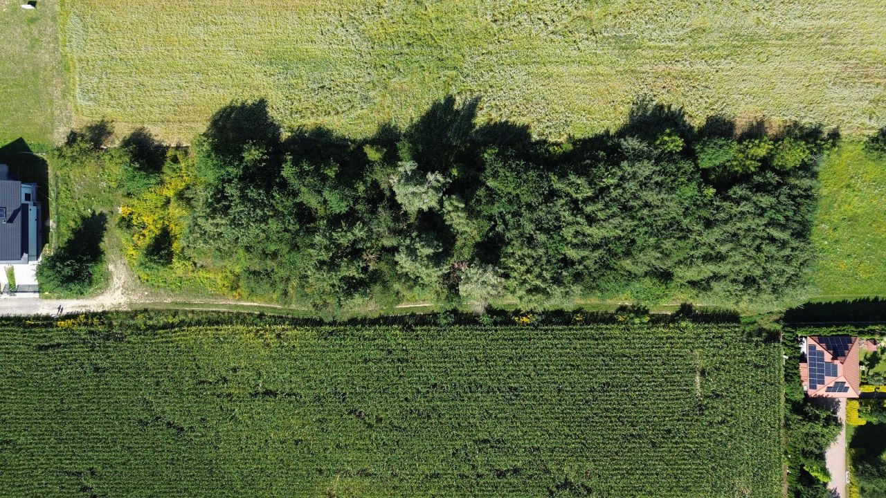 Działka budowlana Szerokie. Zdjęcie 14