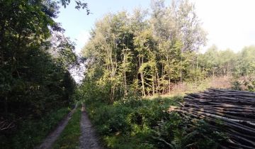 Działka rolna Polany