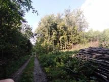 Działka rolna Polany. Zdjęcie 1