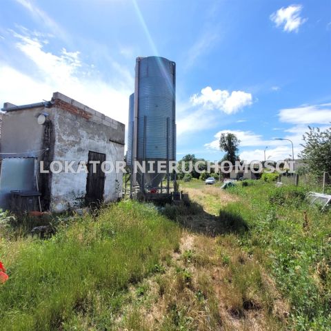 Hala/magazyn Rutwica. Zdjęcie 11