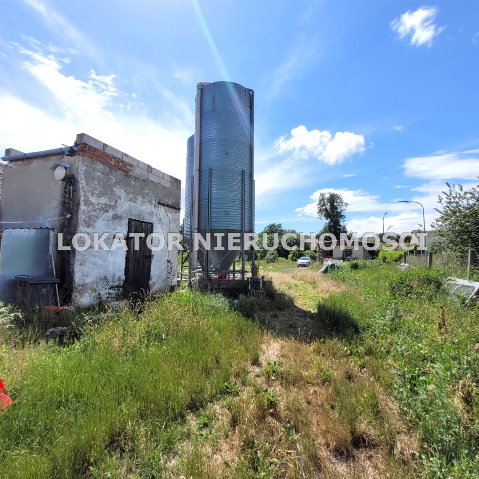 Hala/magazyn Rutwica. Zdjęcie 11