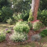 dom wolnostojący, 3 pokoje Łask Kolumna-Las, ul. Lubelska. Zdjęcie 3