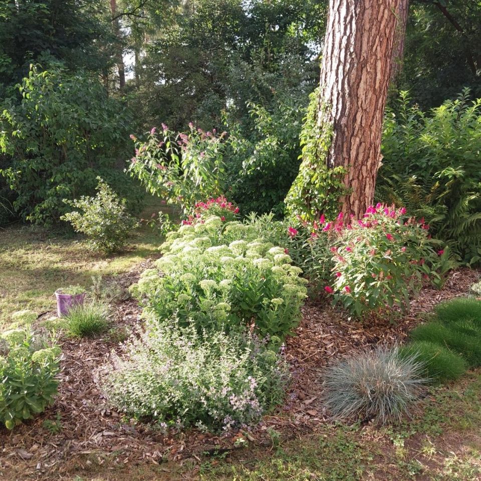 dom wolnostojący, 3 pokoje Łask Kolumna-Las, ul. Lubelska. Zdjęcie 4