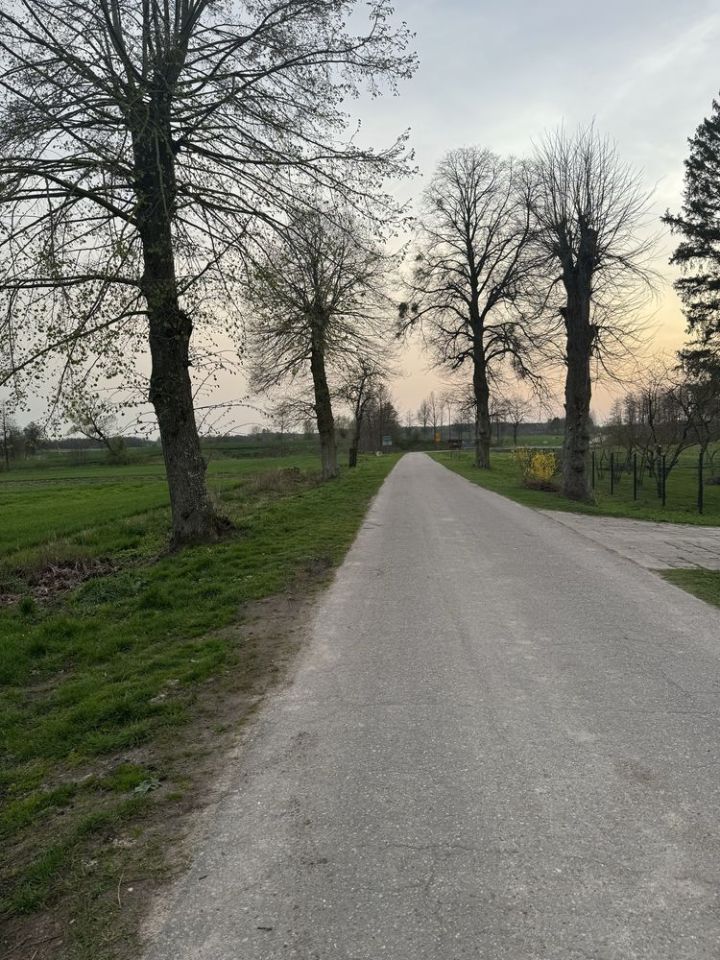 Działka budowlana Skitno. Zdjęcie 3