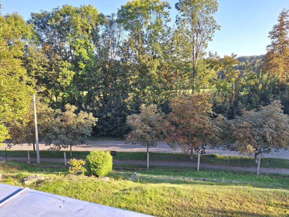 dom wolnostojący Lwówek Śląski. Zdjęcie 8