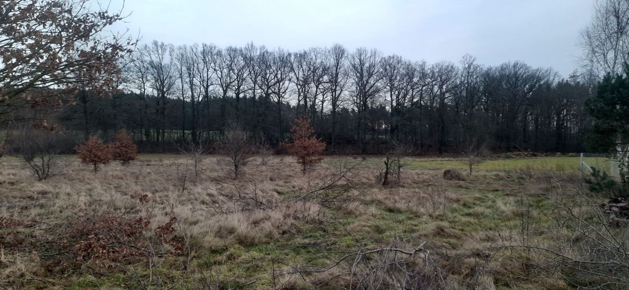 Działka budowlana Sucha Dolna. Zdjęcie 2