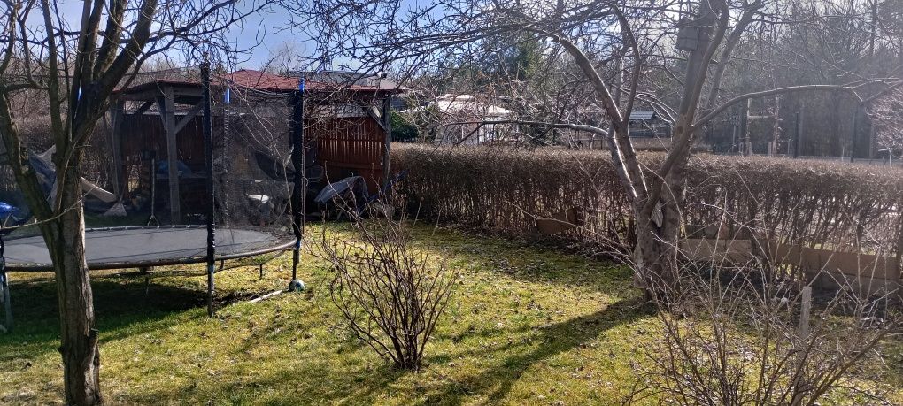 Działka rod Poręba. Zdjęcie 4