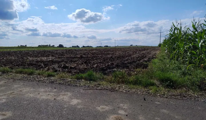 Działka rolna Kamienna