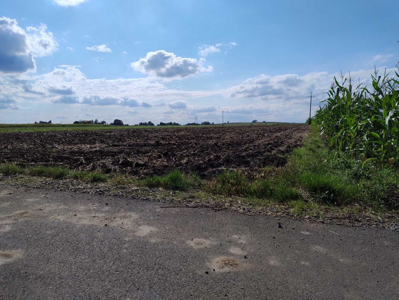 Działka rolna Kamienna