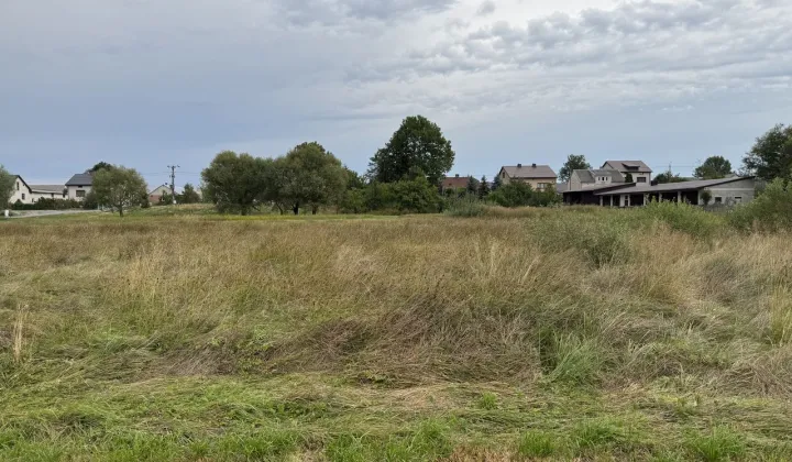 Działka rolna Oblin