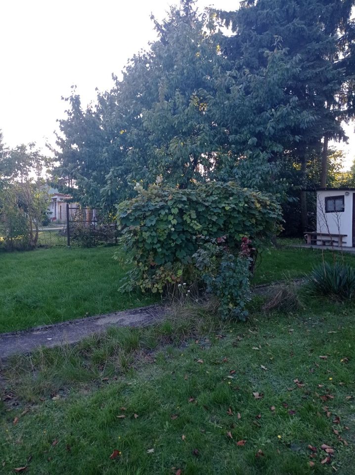 Działka rod Iława. Zdjęcie 4