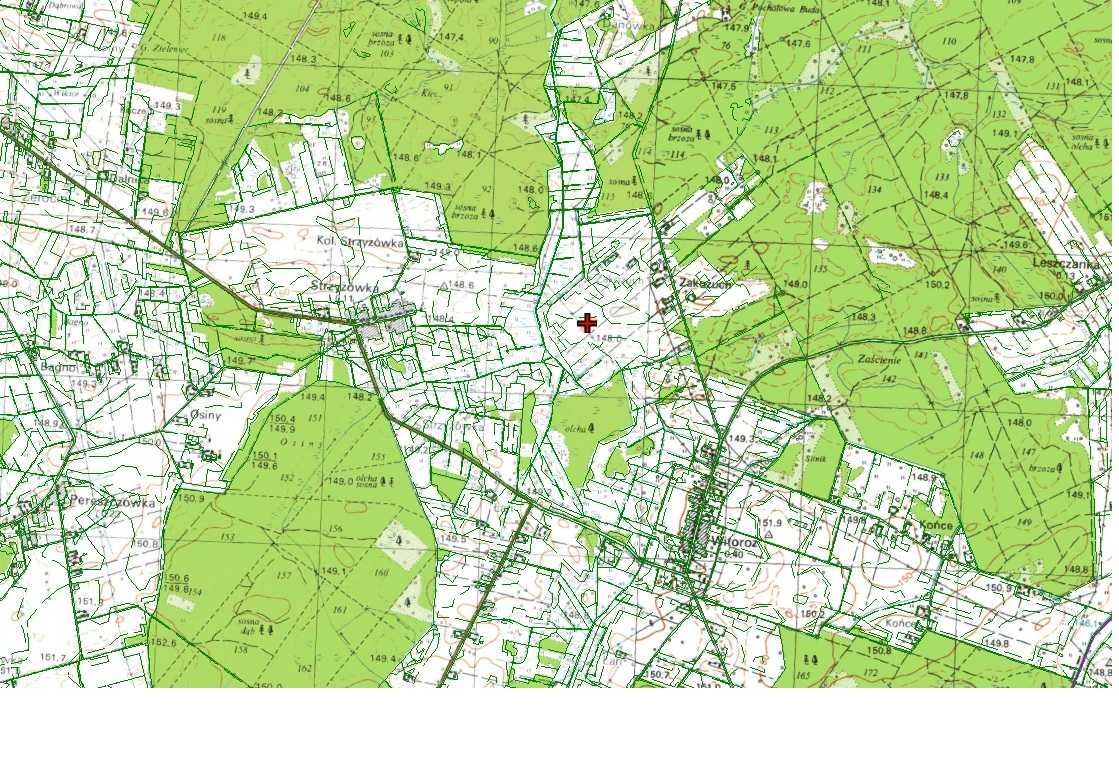 Działka budowlana Witoroż. Zdjęcie 2