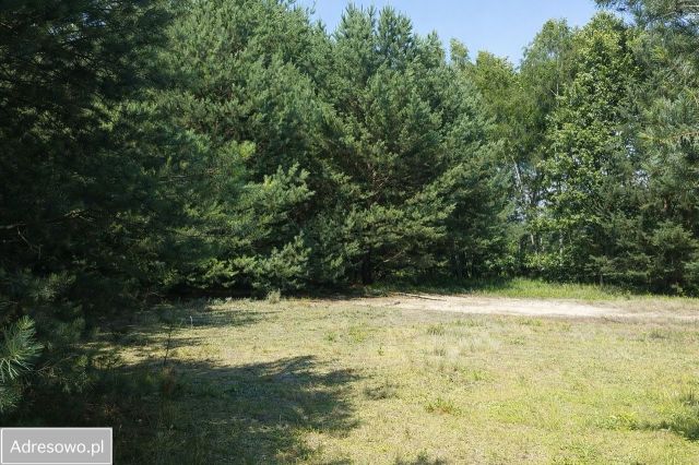 Działka siedliskowa Zalesie Królewskie. Zdjęcie 1