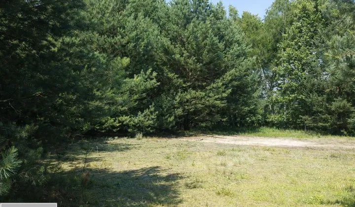 Działka siedliskowa Zalesie Królewskie