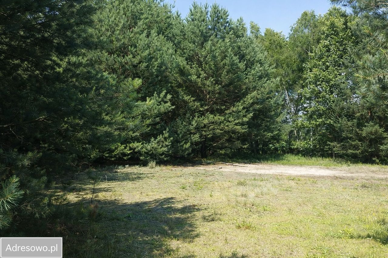 Działka siedliskowa Zalesie Królewskie