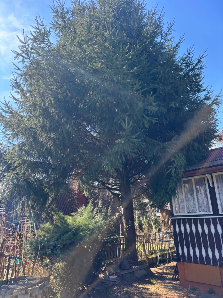 Działka rod Nowy Sącz Wólki, Jadwigi Wolskiej. Zdjęcie 11