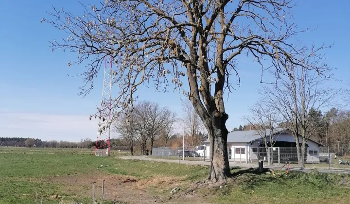 Działka budowlana Stegna, ul. Sportowa