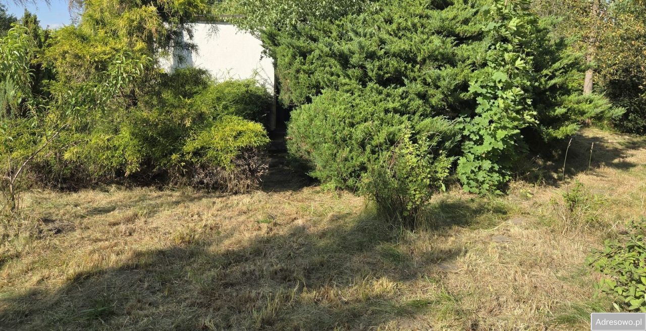 Działka rod Wrocław Wojnów, ul. Ubocze. Zdjęcie 8