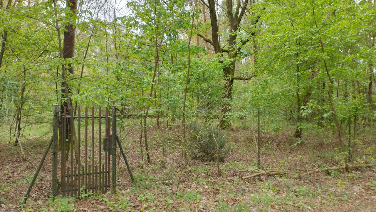 Działka budowlana Zofiówka, ul. Cmentarna. Zdjęcie 2