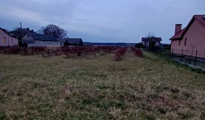 Działka budowlana Turze Rogi