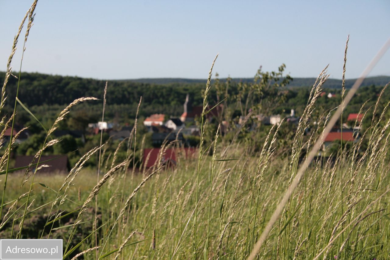 Działka budowlana Pręgowo. Zdjęcie 3