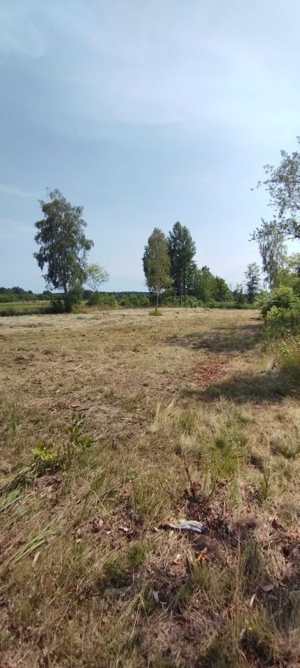 Działka budowlana Cisie. Zdjęcie 5