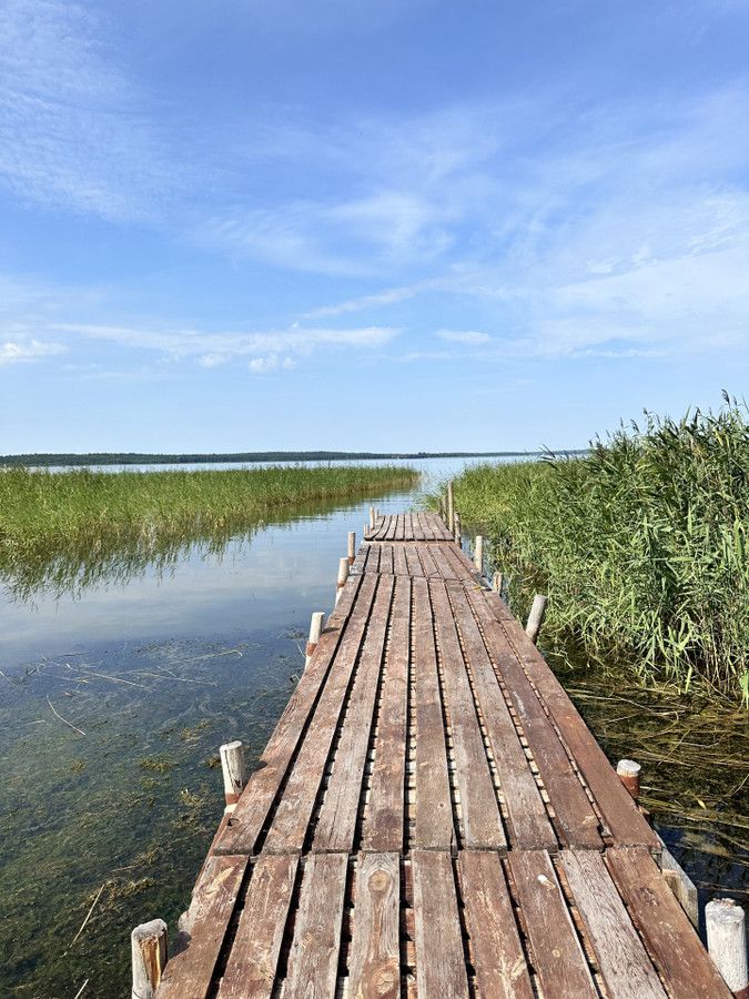 Działka rolna Zdory. Zdjęcie 4