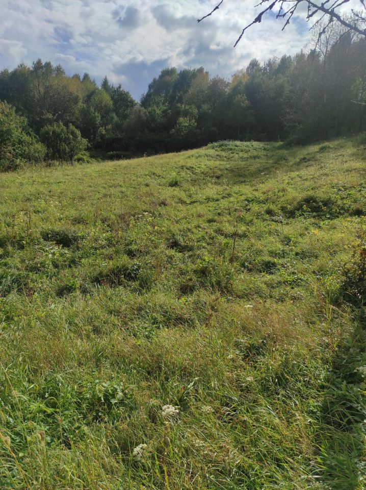 Działka siedliskowa Golcowa. Zdjęcie 7